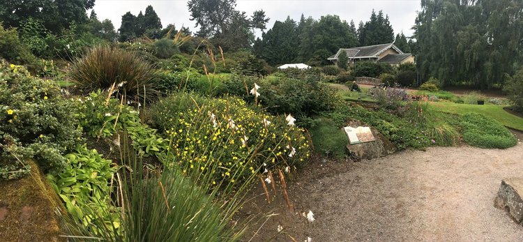 На разходка в градината