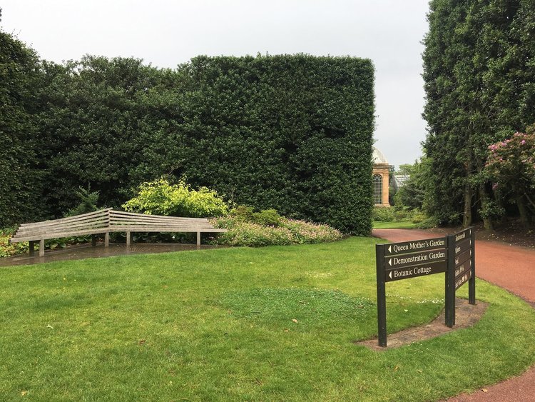 На разходка в градината