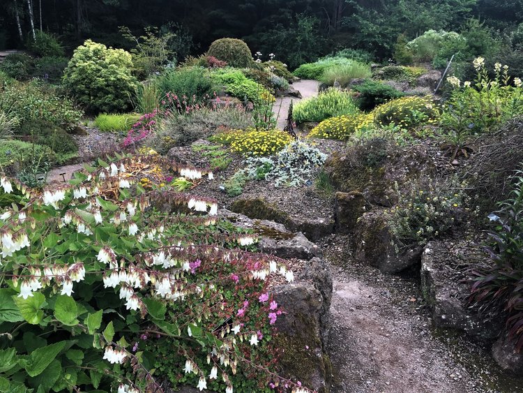 На разходка в градината