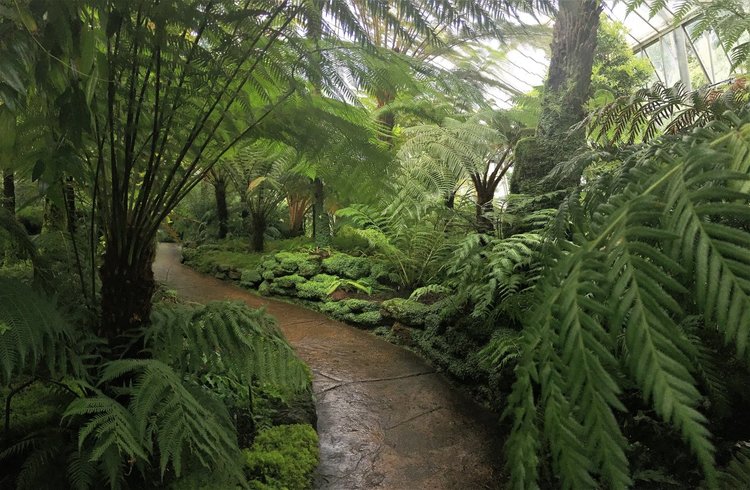 На разходка в градината