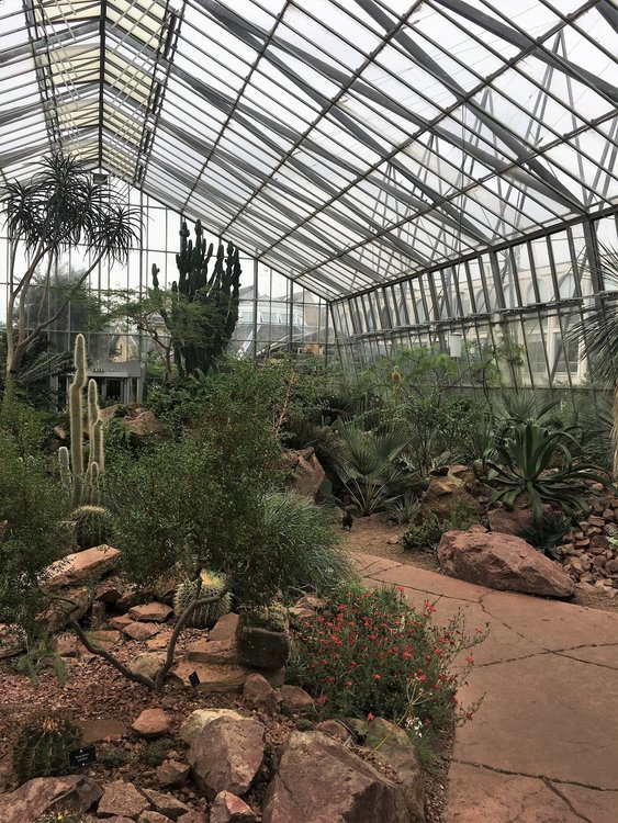 На разходка в градината