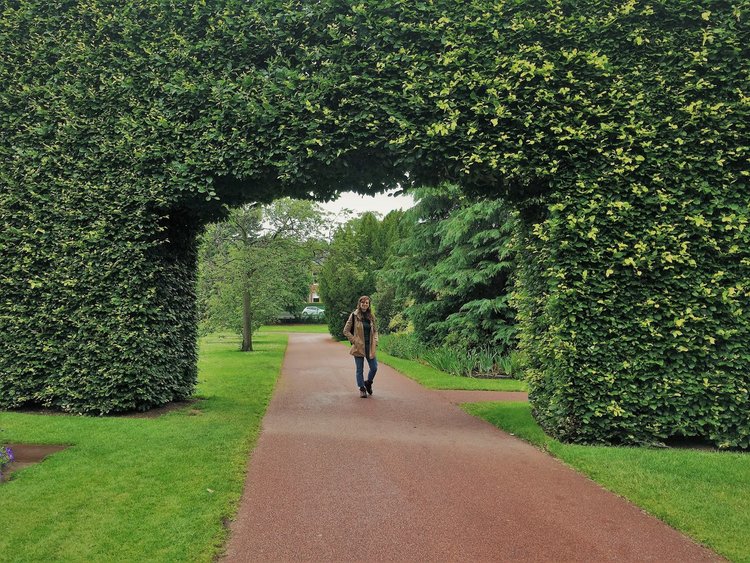 На разходка в градината