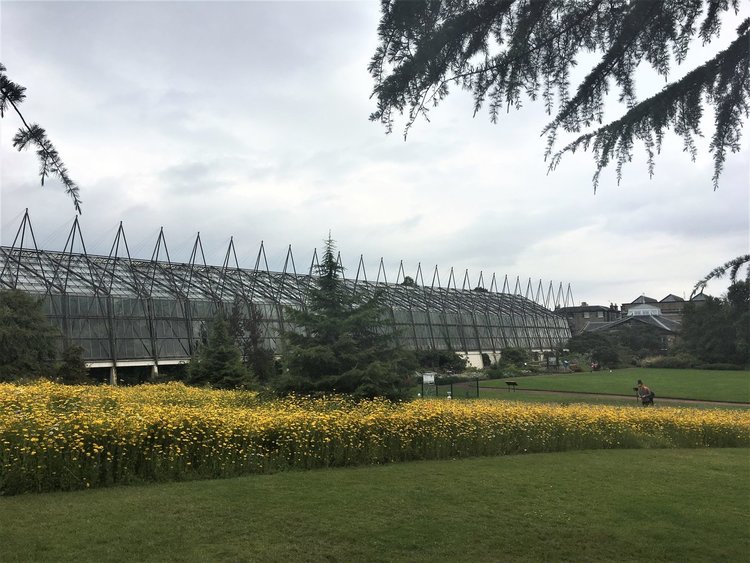 На разходка в градината