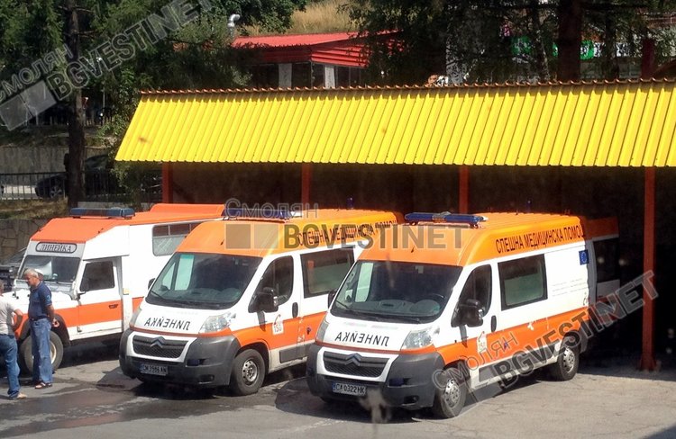 Автобус удари сърна, пътничка пострада