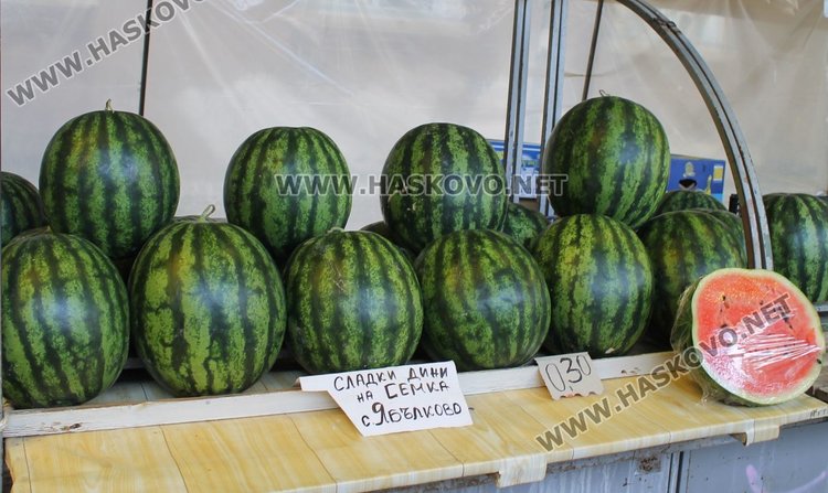 0,40 лв. за кг върви в момента динята на Зеленчуков пазар в Димитровград