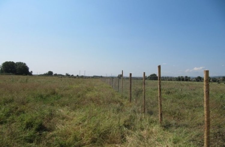 Кравари  с глоби за оран в защитена местност