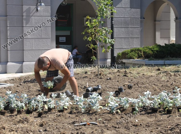 Почистват "Трите музи" и озеленяват центъра на Димитровград