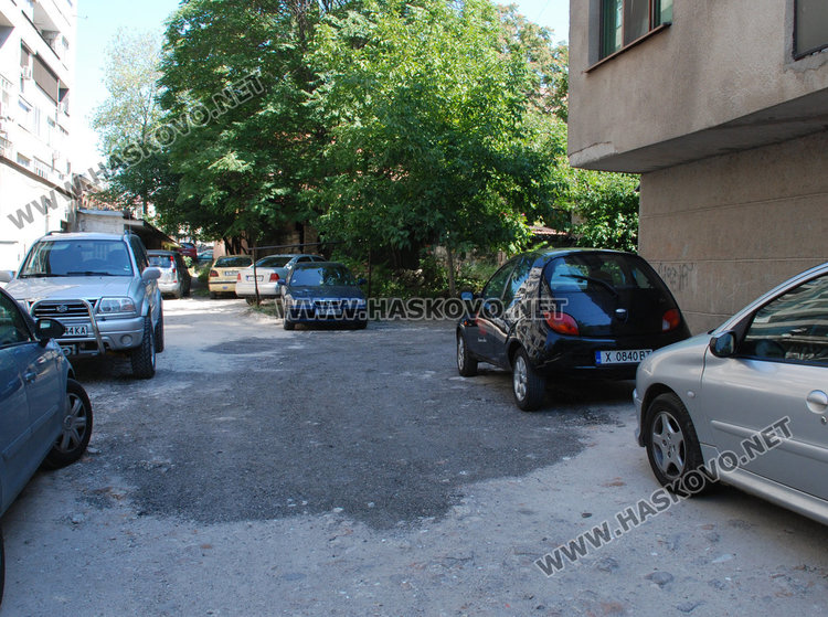 Преди време съседи на Савка се жалвали от дупки, след което ги запълнили