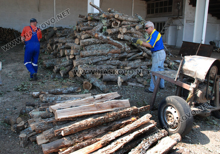 Хасковлии се юрнаха за дърва за огрев, записват за след месец