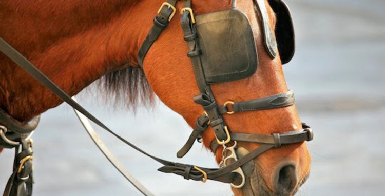 Атеистите са смятани за неморални и опасни, дори от атеистите