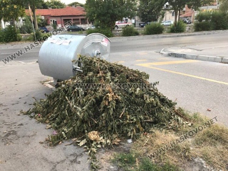 Читател: Контейнерът изпразват редовно, а боклукът до него стои 4-ти ден