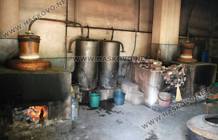 В сезона на сливовата: материалът слаб, ракия става и от домати