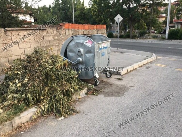 Читател: Контейнерът изпразват редовно, а боклукът до него стои 4-ти ден