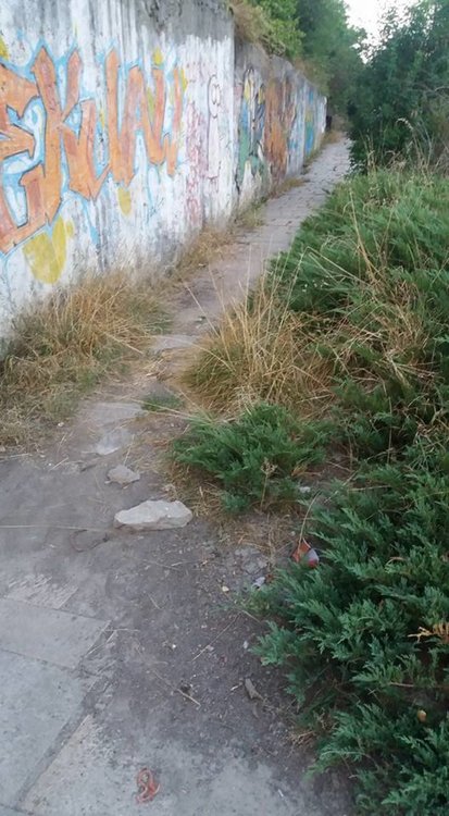 Смолянчани алармират: Междублоковите пространства - джунгли, алеите към Галерията, Библиотека и Музей потънаха в храсталаци