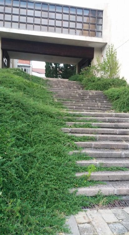 Смолянчани алармират: Междублоковите пространства - джунгли, алеите към Галерията, Библиотека и Музей потънаха в храсталаци