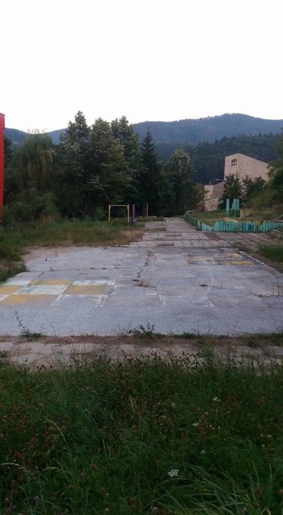 Смолянчани алармират: Междублоковите пространства - джунгли, алеите към Галерията, Библиотека и Музей потънаха в храсталаци