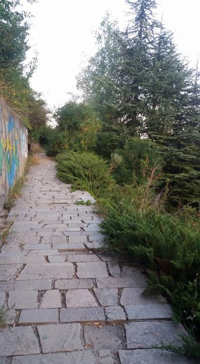 снимките са от социалнат амрежа