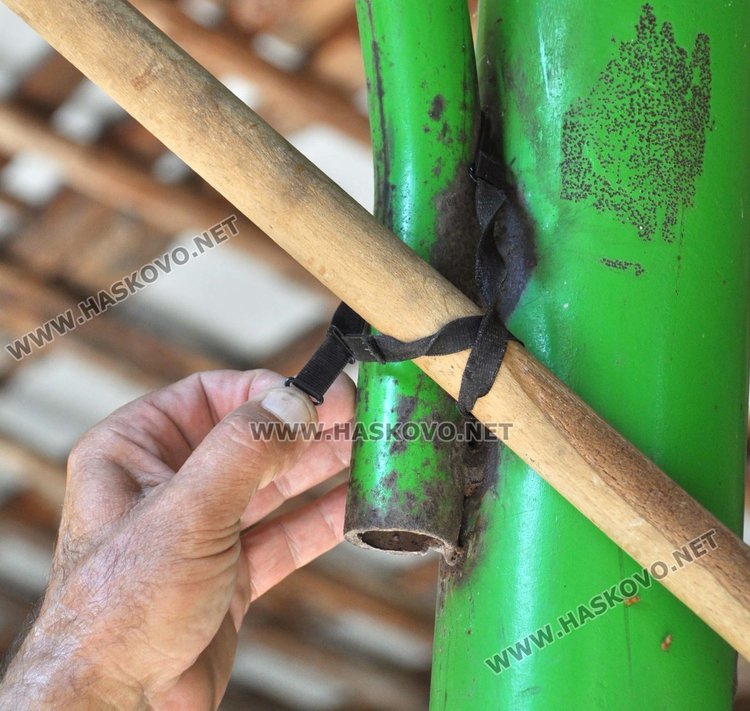 Откриха сезона за прелетен дивеч, 83-годишен гърми по гургулици 