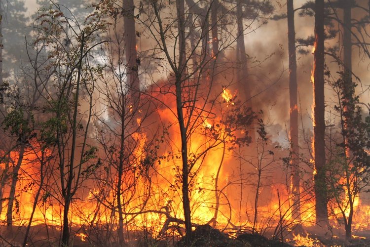 Екстремална опасност от пожари в Хасковско и още 5 области