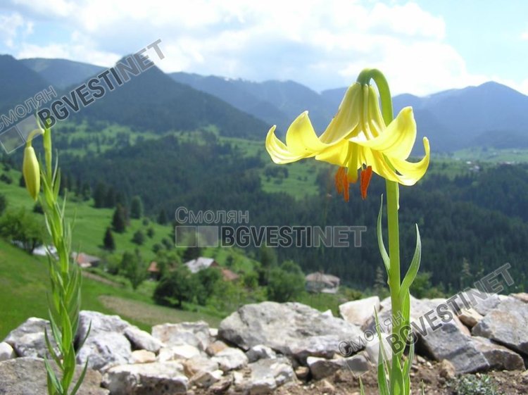 Слънчево време, максималните температури стигат 32 градуса