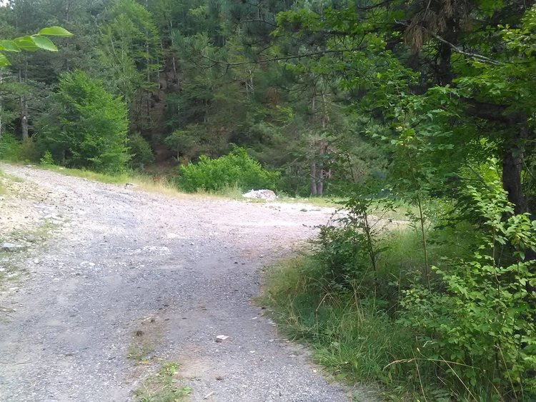 РИОСВ : Изхвърлилият боклуците край Бостина направи самопризнания,няма да отърве глобата