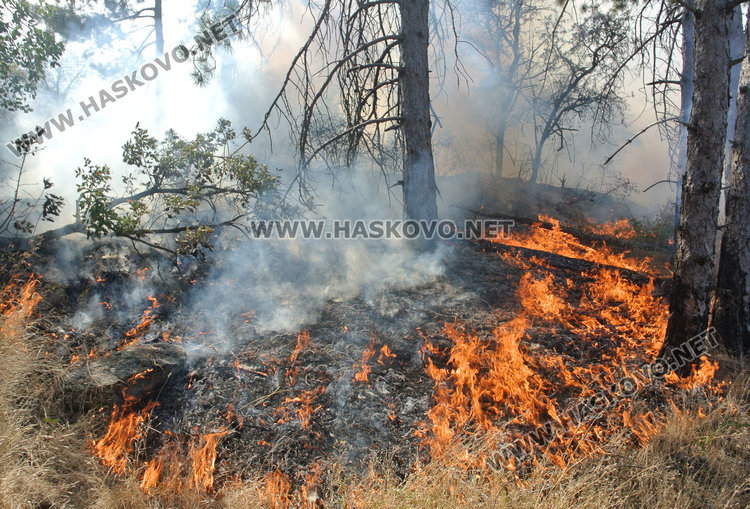 Обявиха екстремална степен за пожари в Хасковска област през следващите 48 часа