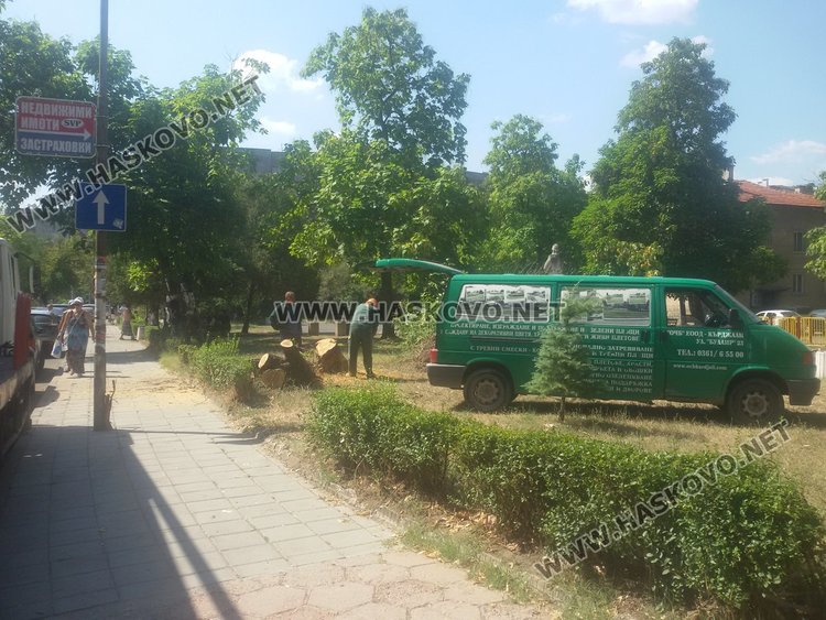 Санитарна сеч