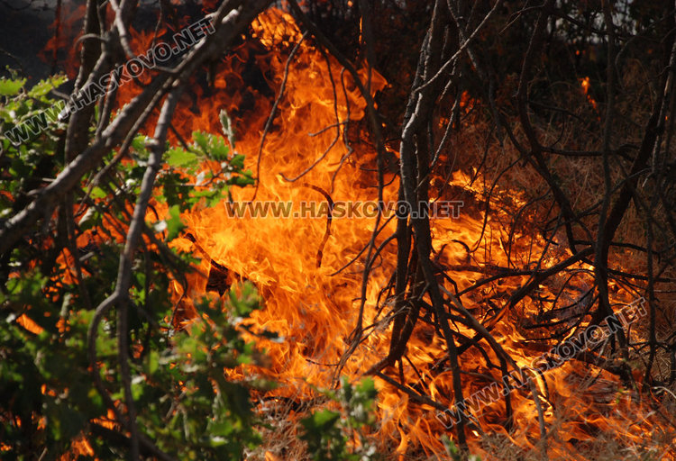 Два големи пожара избухнаха в Тополовградско, 10 екипа гасят, вдигат и доброволци