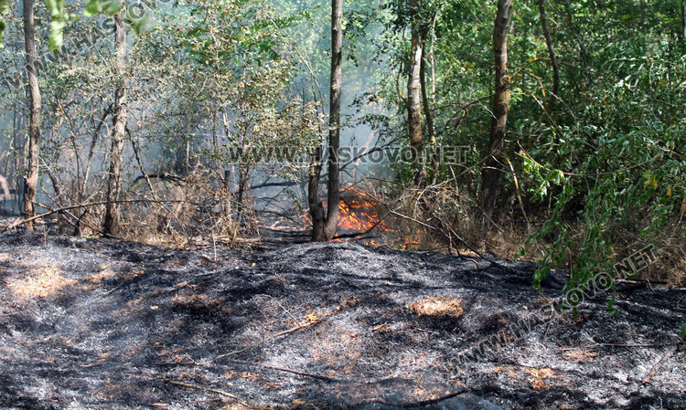 Равносметка: пожарите погълнаха 10 000 декара за два дни