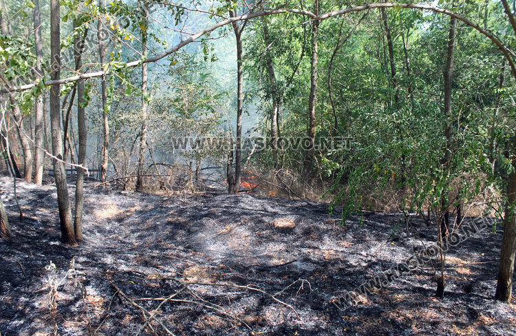 Равносметка: пожарите погълнаха 10 000 декара за два дни