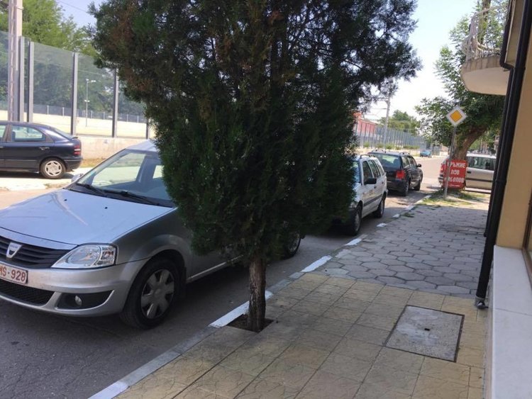 И Общинска охрана не знаят къде да спрат на "Братя Миладинови - юг"