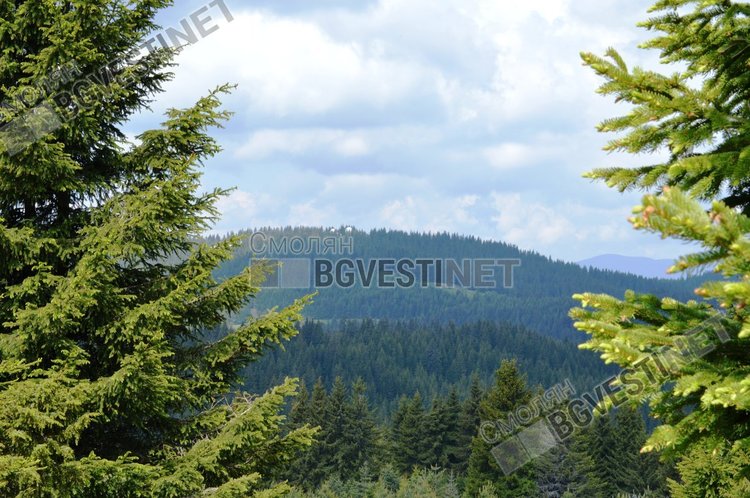 Температурите се покачват още, максималните стигат 37 градуса