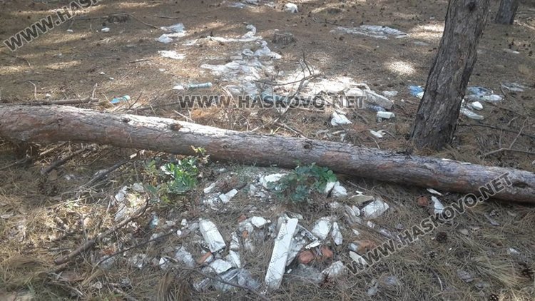 Превърнаха горичката до бившия ТЕЦ в сметище