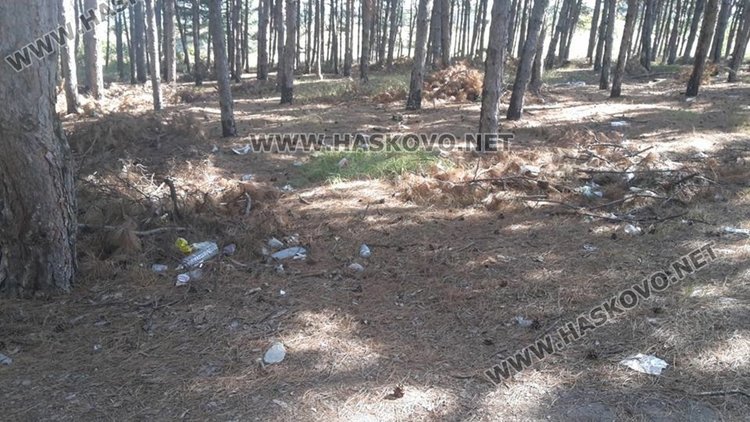 Превърнаха горичката до бившия ТЕЦ в сметище