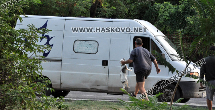 47 бездомни кучета обработиха ветеринарите при втората си акция в Хасково