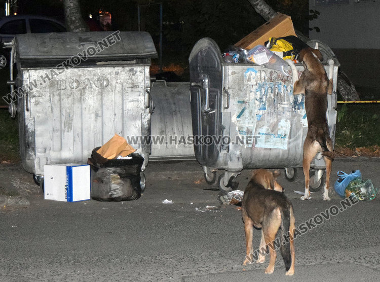 Двойно е нарастнало количеството смет в Кърджали в последните месеци,околностите на града тънат в боклуци