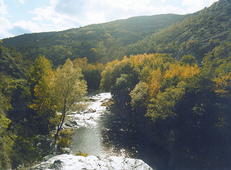 По сигнал: Проверяват замърсяване на река Чая