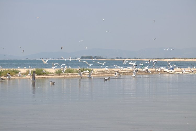 Една по-различна дестинация в Гърция - делтата на Места