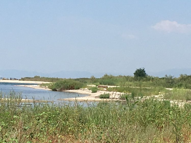 Една по-различна дестинация в Гърция - делтата на Места