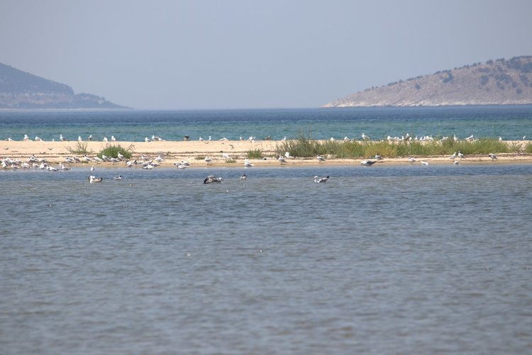 Една по-различна дестинация в Гърция - делтата на Места