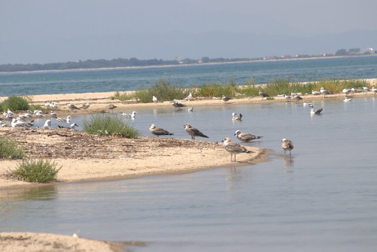 Една по-различна дестинация в Гърция - делтата на Места