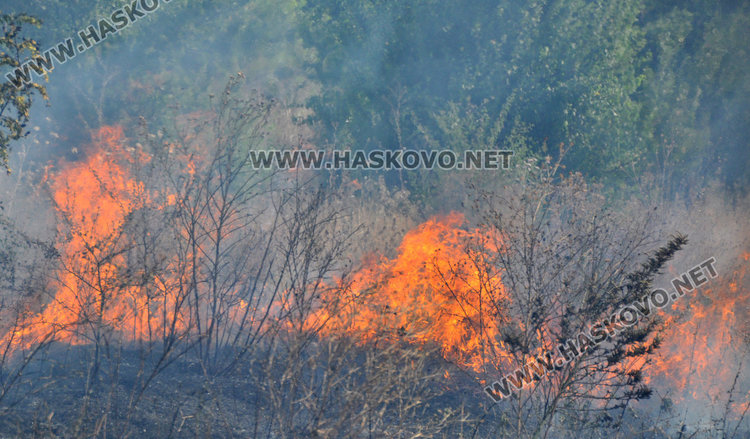 Пожарът в Сакар е потушен, пламъците изпепелили 2500 дка