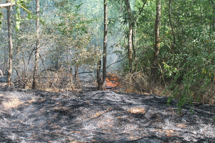 Военни и верижна машина гасят пожара в Сакар, 2000 дка изпепелени