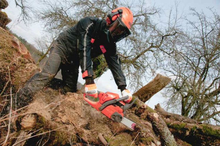 Търсят горски работници на 2000 лв. заплата и учител в Хасково