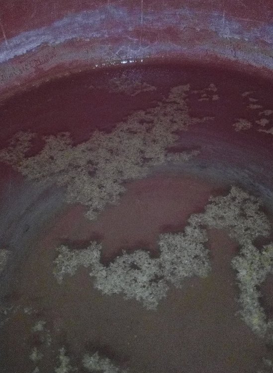 Асеновградчани: Някой ще ни каже ли какво всъщност тече и пием от чешмите???