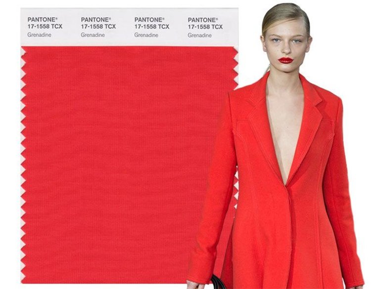 PANTONE 17-1558 Гренадин