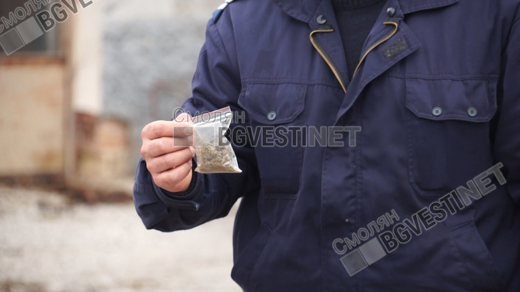 Незабавно производство заради 2,58 грама марихуана, намерени у възрстна дама в Хвойна
