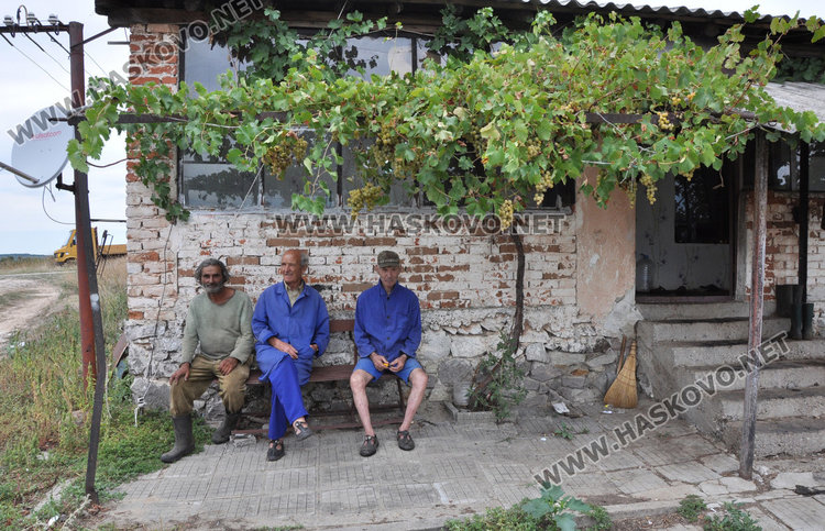 Краварник с 30 животни пламна край Узунджово