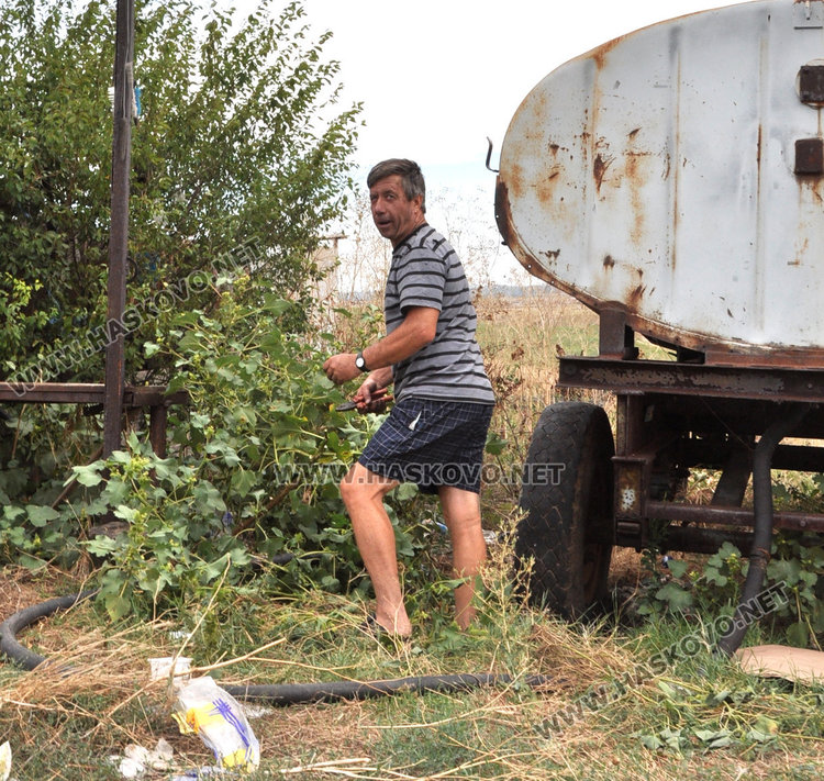 Краварник с 30 животни пламна край Узунджово