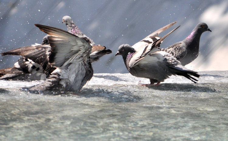 Облаци във вторник, може да превали следобед